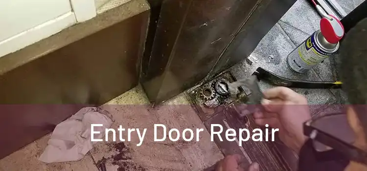 Entry Door Repair